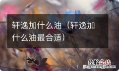 轩逸加什么油最合适 轩逸加什么油