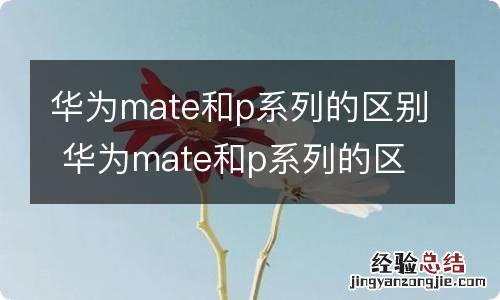 华为mate和p系列的区别 华为mate和p系列的区别有哪些