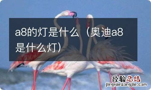 奥迪a8是什么灯 a8的灯是什么