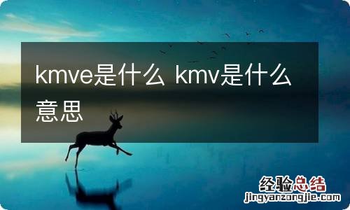 kmve是什么 kmv是什么意思