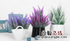 干花假花放在家里有什么忌讳 假花放在家里有什么忌讳