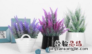 干花假花放在家里有什么忌讳 假花放在家里有什么忌讳