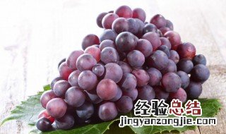 提子的热量 提子的热量是多少