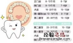 男孩换牙时间 男孩换牙时间介绍