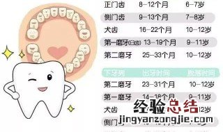 男孩换牙时间 男孩换牙时间介绍