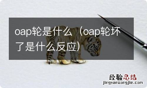 oap轮坏了是什么反应 oap轮是什么