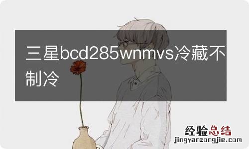 三星bcd285wnmvs冷藏不制冷