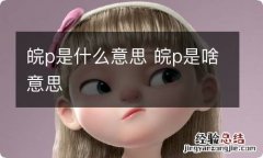 皖p是什么意思 皖p是啥意思