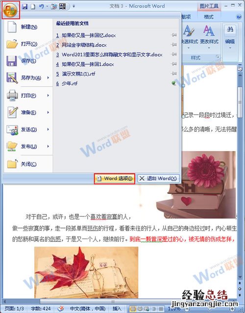 在Word2007中通过隐藏图片来提高浏览速度