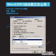 word中自动更正功能怎么用 Word2003自动更正怎么用?