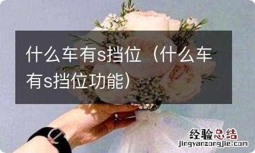 什么车有s挡位功能 什么车有s挡位