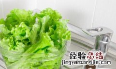 生菜可以放冰箱保存吗冬天 生菜可以放冰箱保存吗