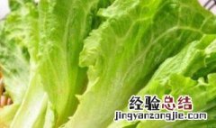 生菜热量 生菜热量是多少