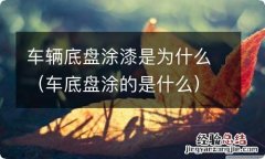 车底盘涂的是什么 车辆底盘涂漆是为什么