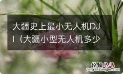 大疆小型无人机多少钱一台 大疆史上最小无人机DJI