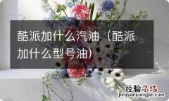 酷派加什么型号油 酷派加什么汽油