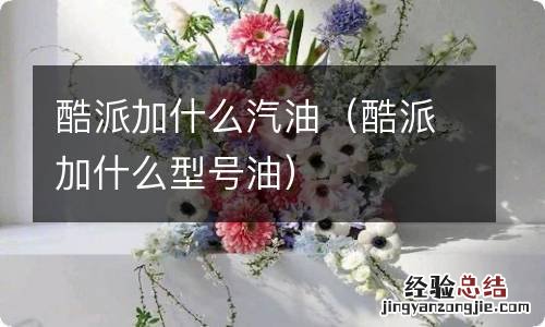 酷派加什么型号油 酷派加什么汽油