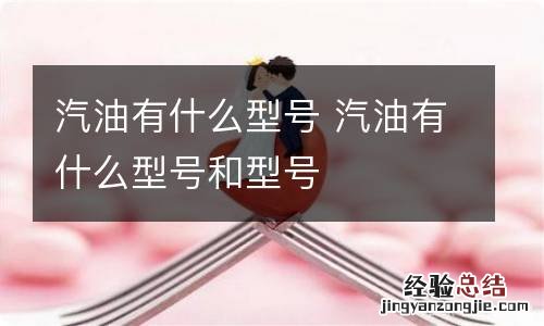 汽油有什么型号 汽油有什么型号和型号