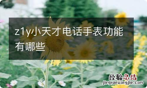 z1y小天才电话手表功能有哪些