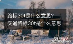 路标30t是什么意思？ 交通路标30t是什么意思