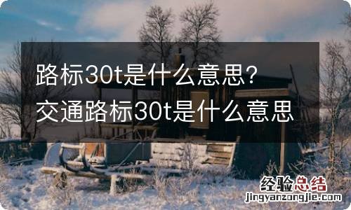 路标30t是什么意思？ 交通路标30t是什么意思