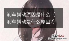 刹车抖动是什么原因? 刹车抖动原因是什么