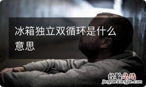冰箱独立双循环是什么意思