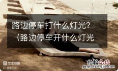 路边停车开什么灯光 路边停车打什么灯光？