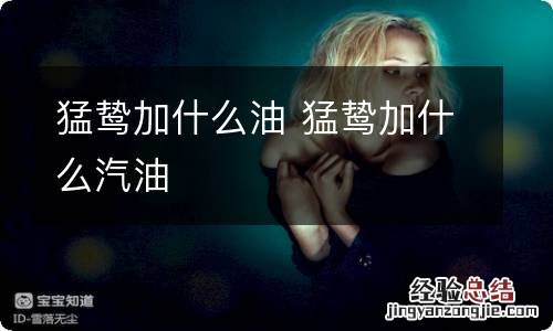 猛鸷加什么油 猛鸷加什么汽油