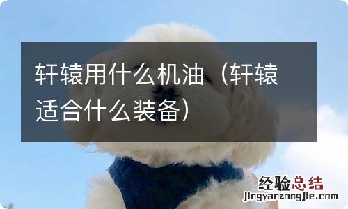 轩辕适合什么装备 轩辕用什么机油