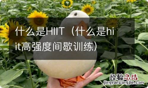 什么是hiit高强度间歇训练 什么是HIIT