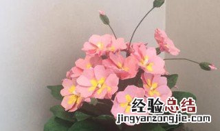 樱花草的做法 樱花草的做法视频教程