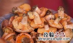 鸡油菌是什么样子的 鸡油菌是什么样子的