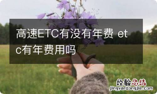 高速ETC有没有年费 etc有年费用吗