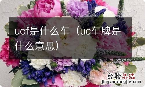 uc车牌是什么意思 ucf是什么车