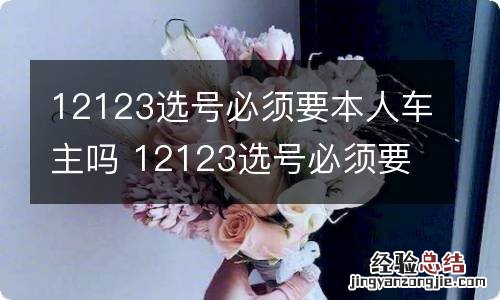 12123选号必须要本人车主吗 12123选号必须要本人车主吗