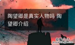 陶望卿是真实人物吗 陶望卿介绍