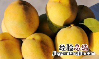 黄桃热量高吗 黄桃有多少热量