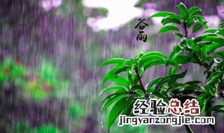 谷雨节气的说说 谷雨节气的说说怎么写