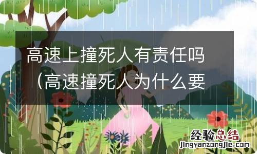 高速撞死人为什么要承担责任 高速上撞死人有责任吗