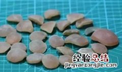 青鱼石煮过后还有用吗 青鱼石煮熟后能用吗