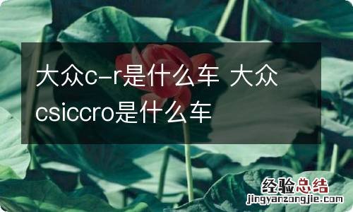 大众c-r是什么车 大众csiccro是什么车