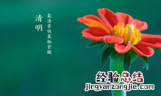 清明节气推荐语100字 清明节气推荐语