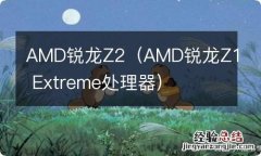 AMD锐龙Z1 Extreme处理器 AMD锐龙Z2