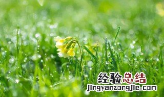 雨水节气养生知识 雨水节气养生知识讲座