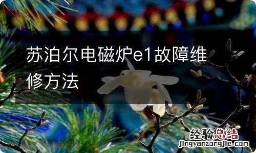 苏泊尔电磁炉e1故障维修方法