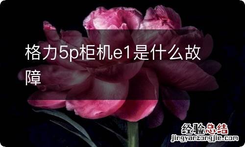 格力5p柜机e1是什么故障