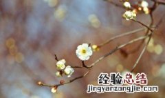 立春节气的由来和气候特点 立春节气习俗