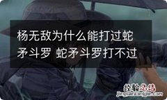 杨无敌为什么能打过蛇矛斗罗 蛇矛斗罗打不过杨无敌