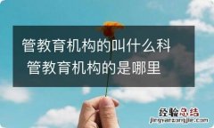 管教育机构的叫什么科 管教育机构的是哪里